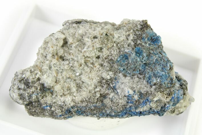 Vibrant Blue Hauyne with Sanidine and Augite - Germany #317197
